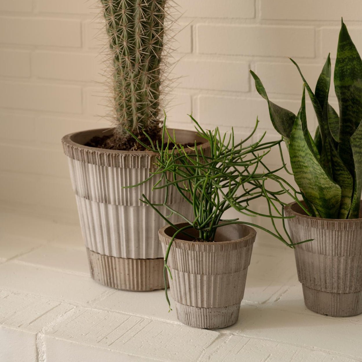 Bergs Potter Atlas Plant Pot - uBaaHaus