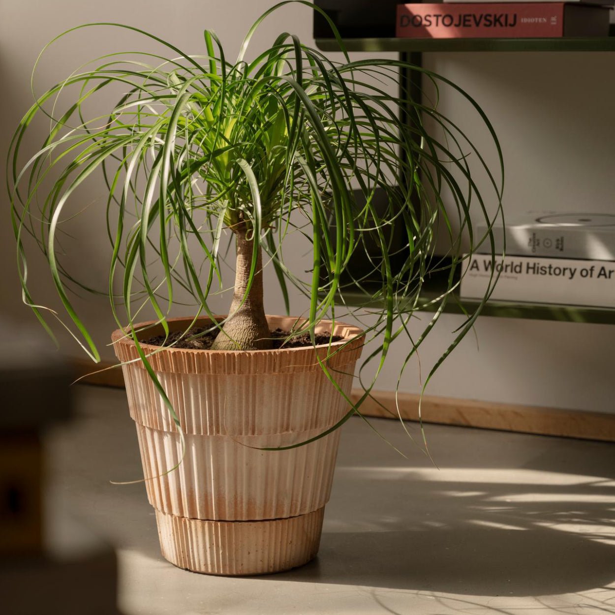 Bergs Potter Atlas Plant Pot - uBaaHaus