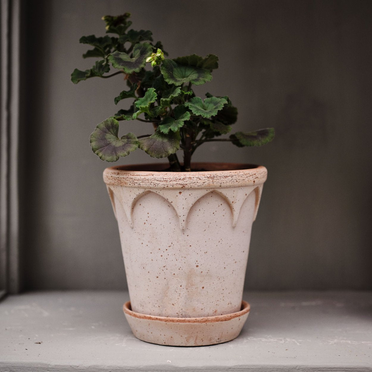 Bergs Potter Elizabeth Plant Pot, Ø16 cm - uBaaHaus