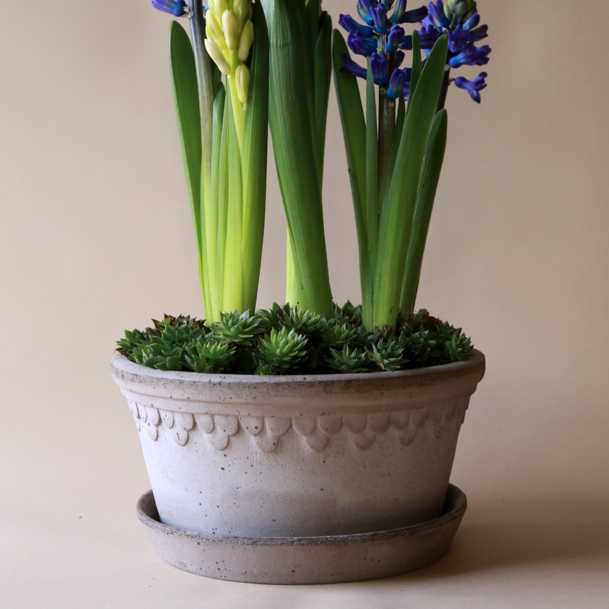 Bergs Potter Low Copenhagen Plant Pot, Ø21 cm - uBaaHaus