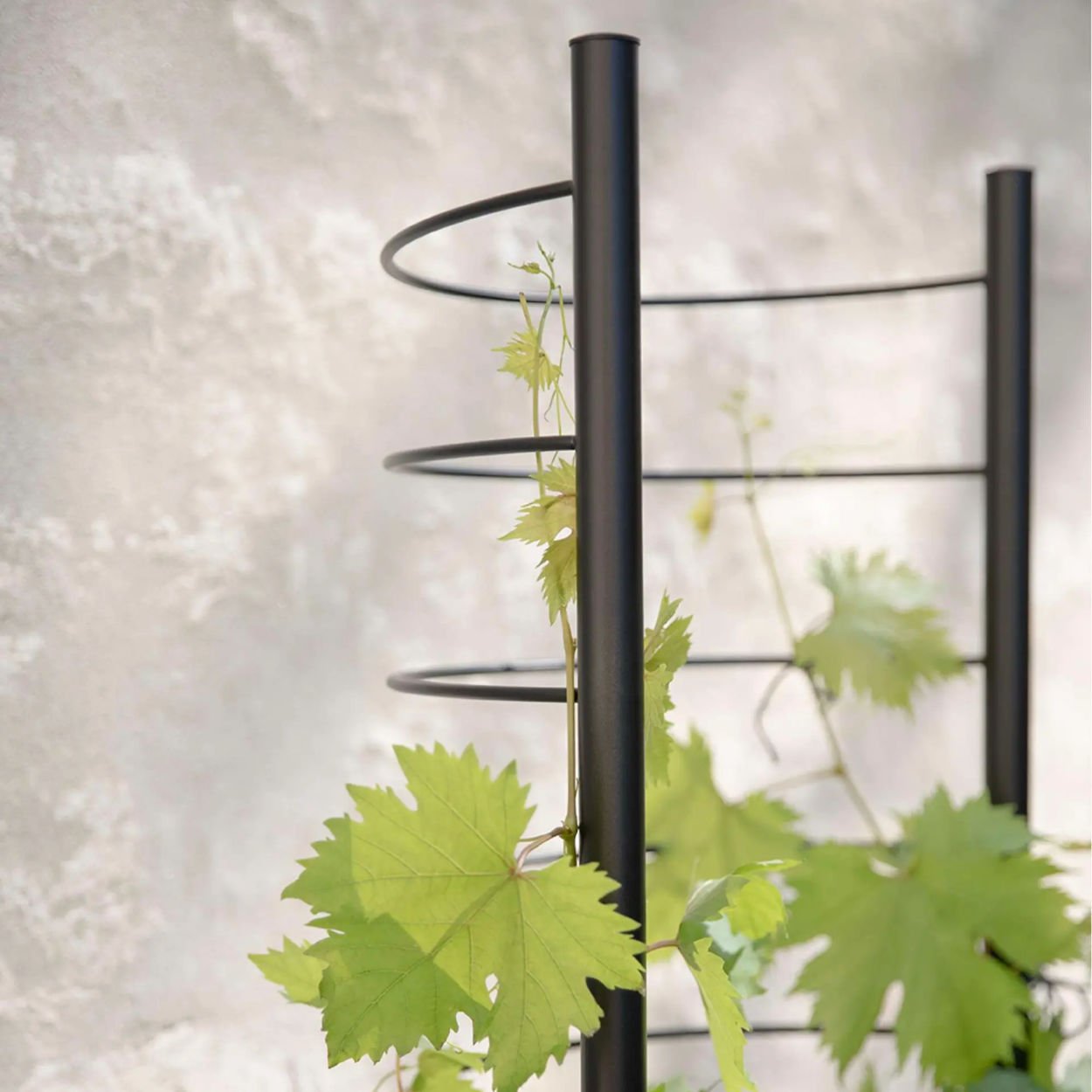 Eva Solo Grow Plant Pot Trellis - uBaaHaus