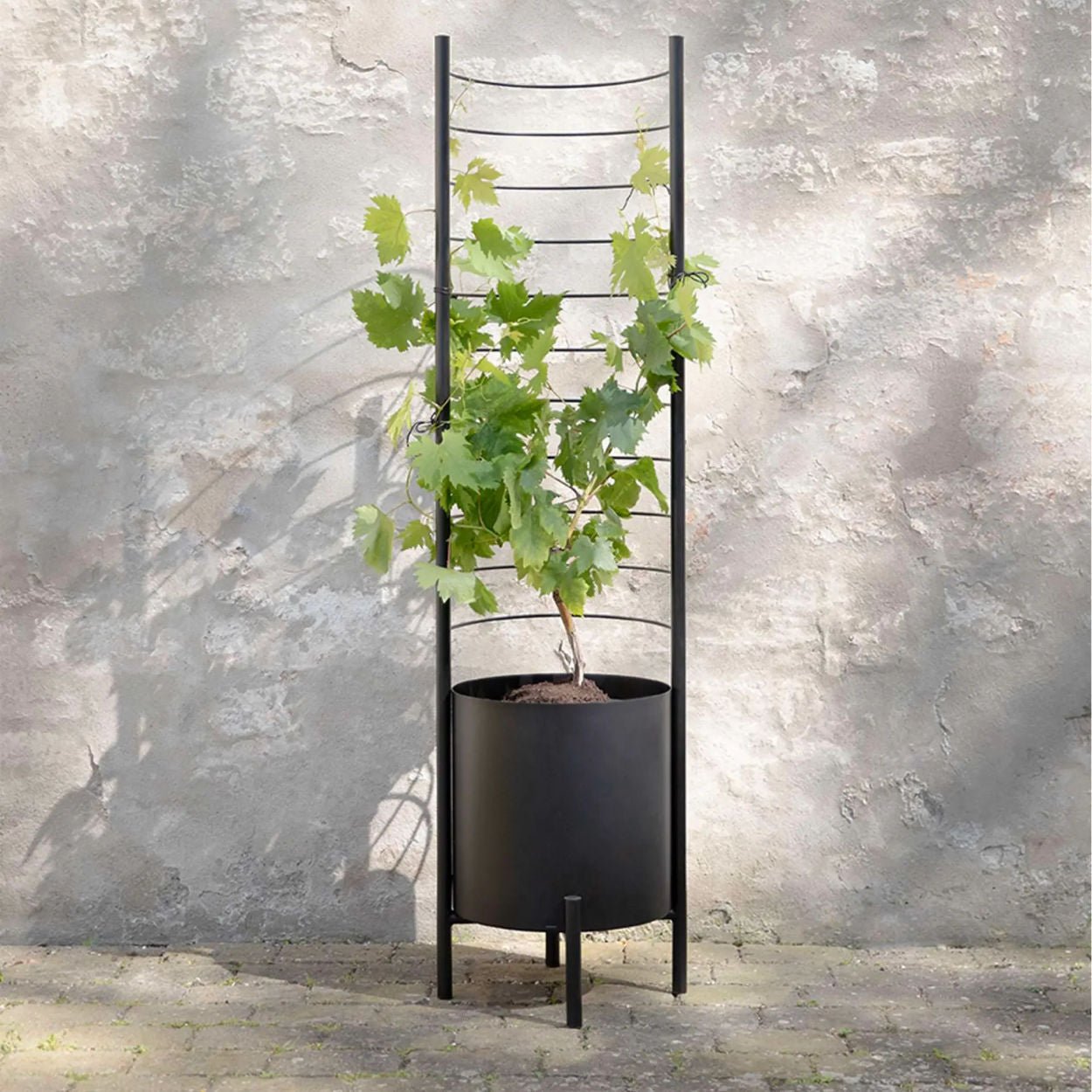 Eva Solo Grow Plant Pot Trellis - uBaaHaus