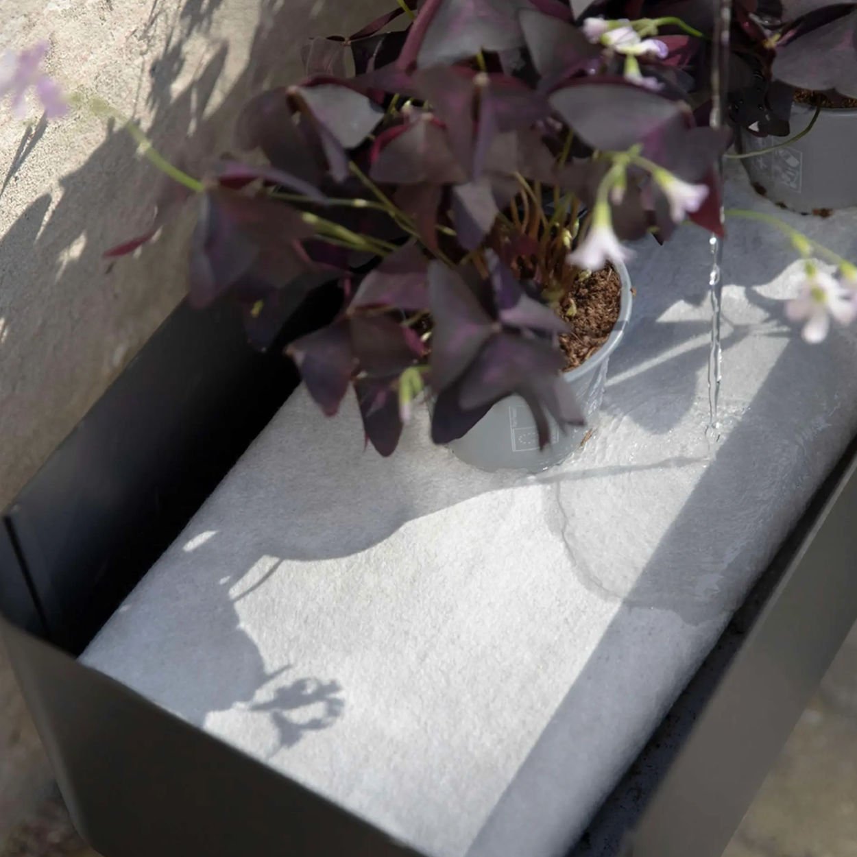Eva Solo Simple Grow Planter - uBaaHaus