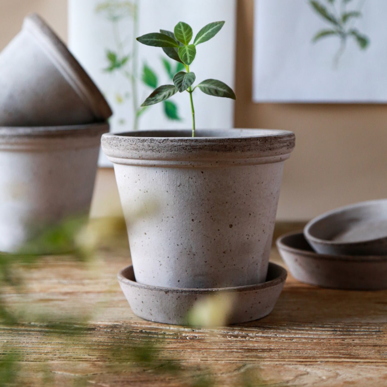 Bergs Potter Flora Plant Pot, Ø14 cm - uBaaHaus