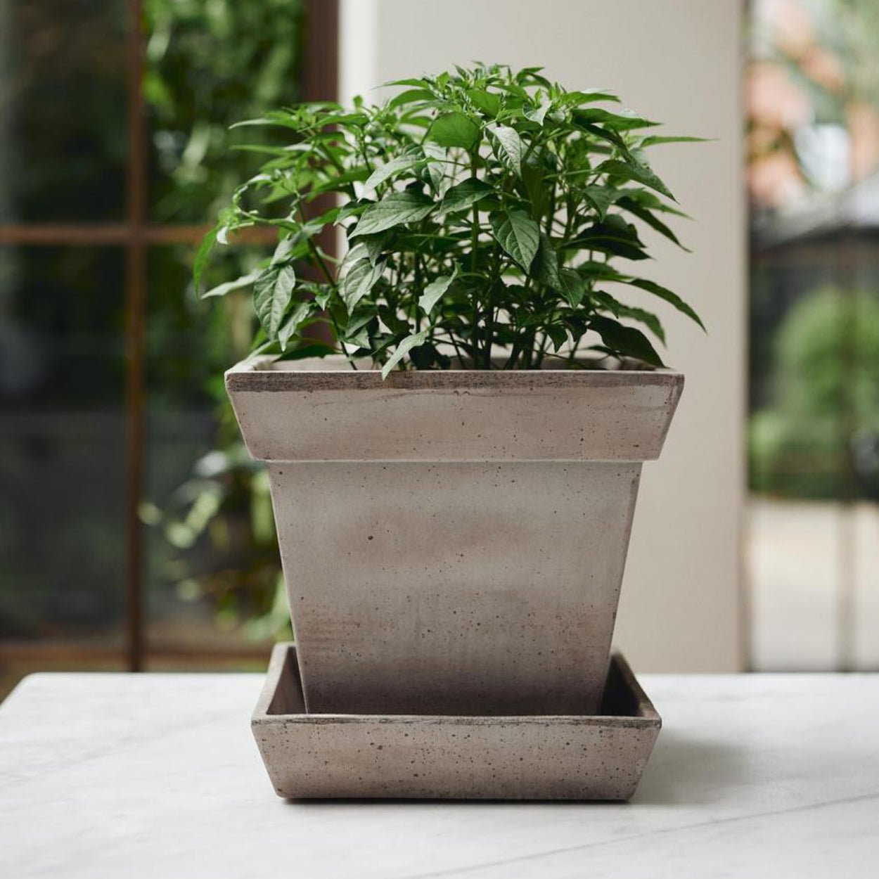 Bergs Potter Gaia Plant Pot - uBaaHaus