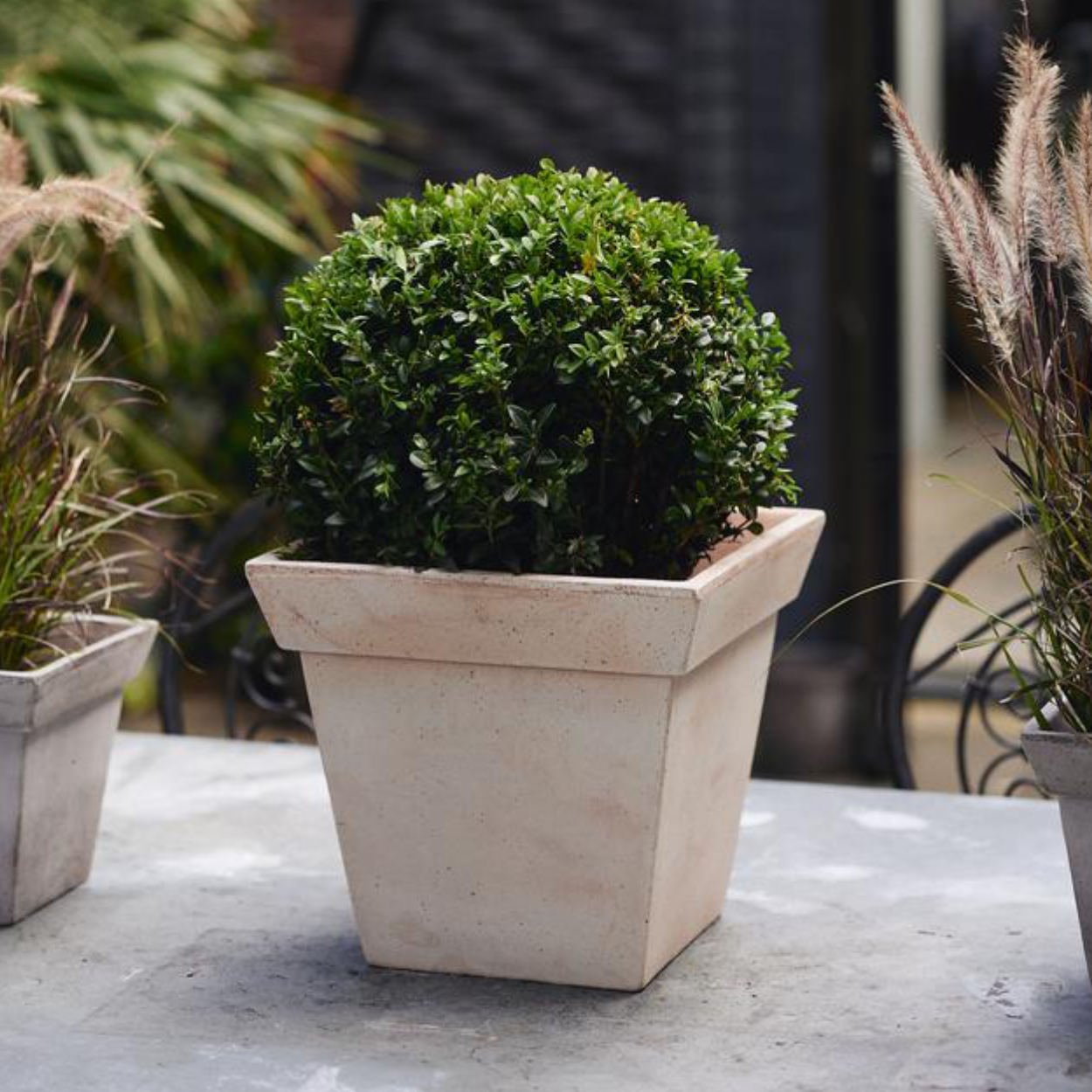Bergs Potter Gaia Plant Pot - uBaaHaus