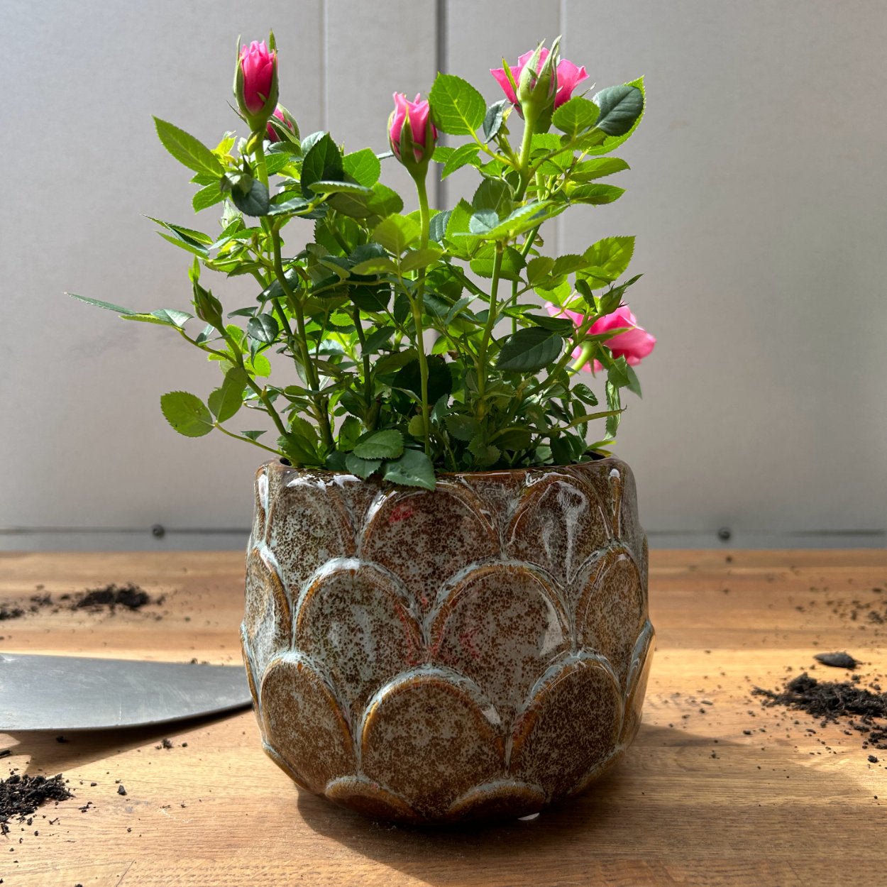 Wikholm Sabrina ø11cm Plant Pot - uBaaHaus
