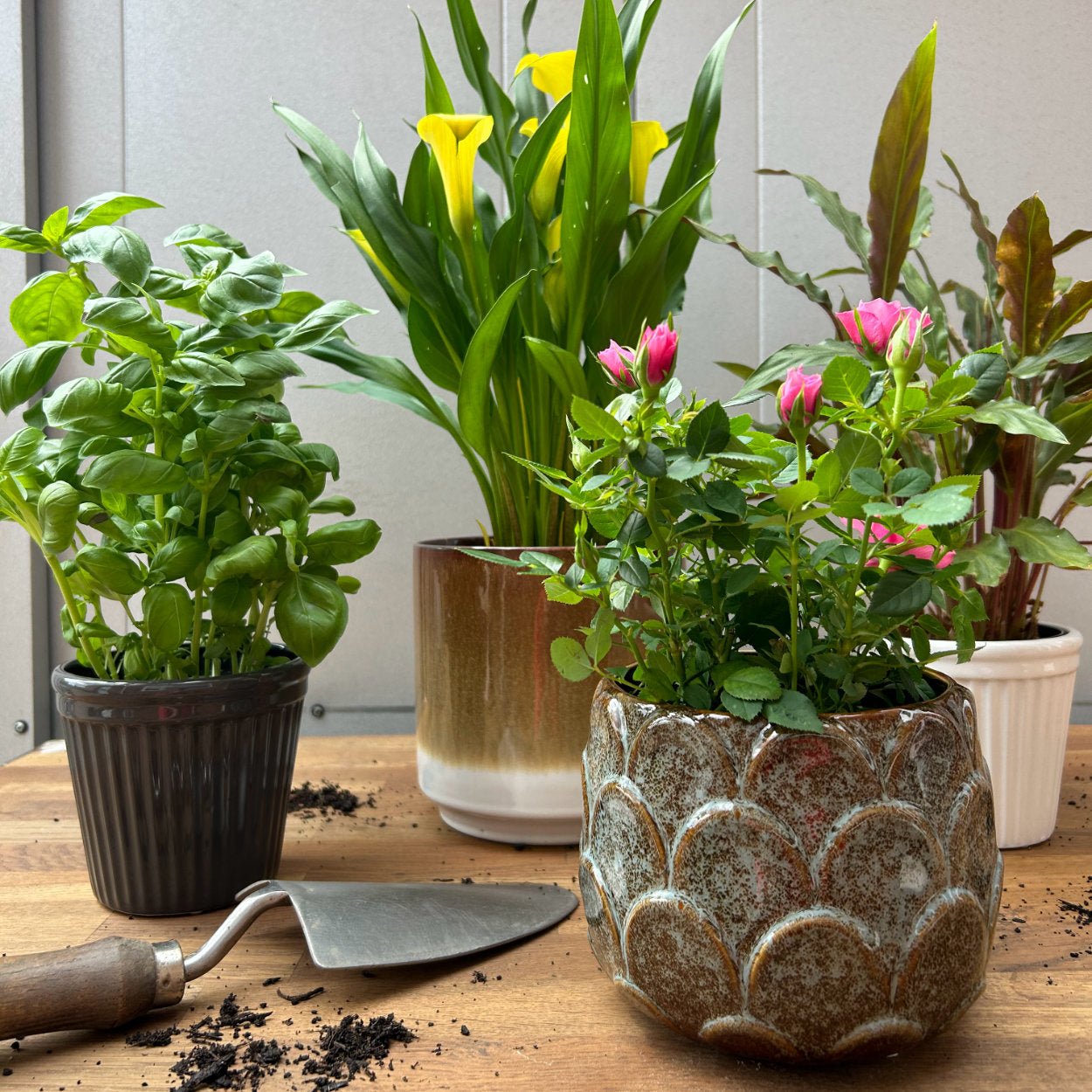 Wikholm Sabrina ø11cm Plant Pot - uBaaHaus
