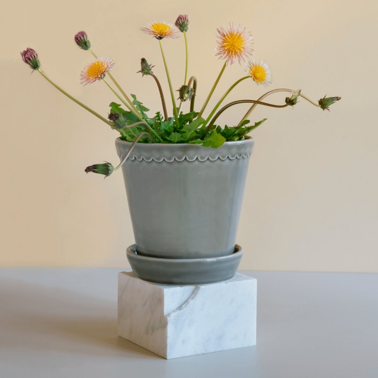 helena glazed grey sitting on marble block