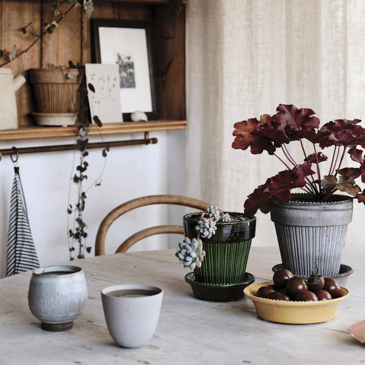 simona plant pot on table indoors in several colours and sizes