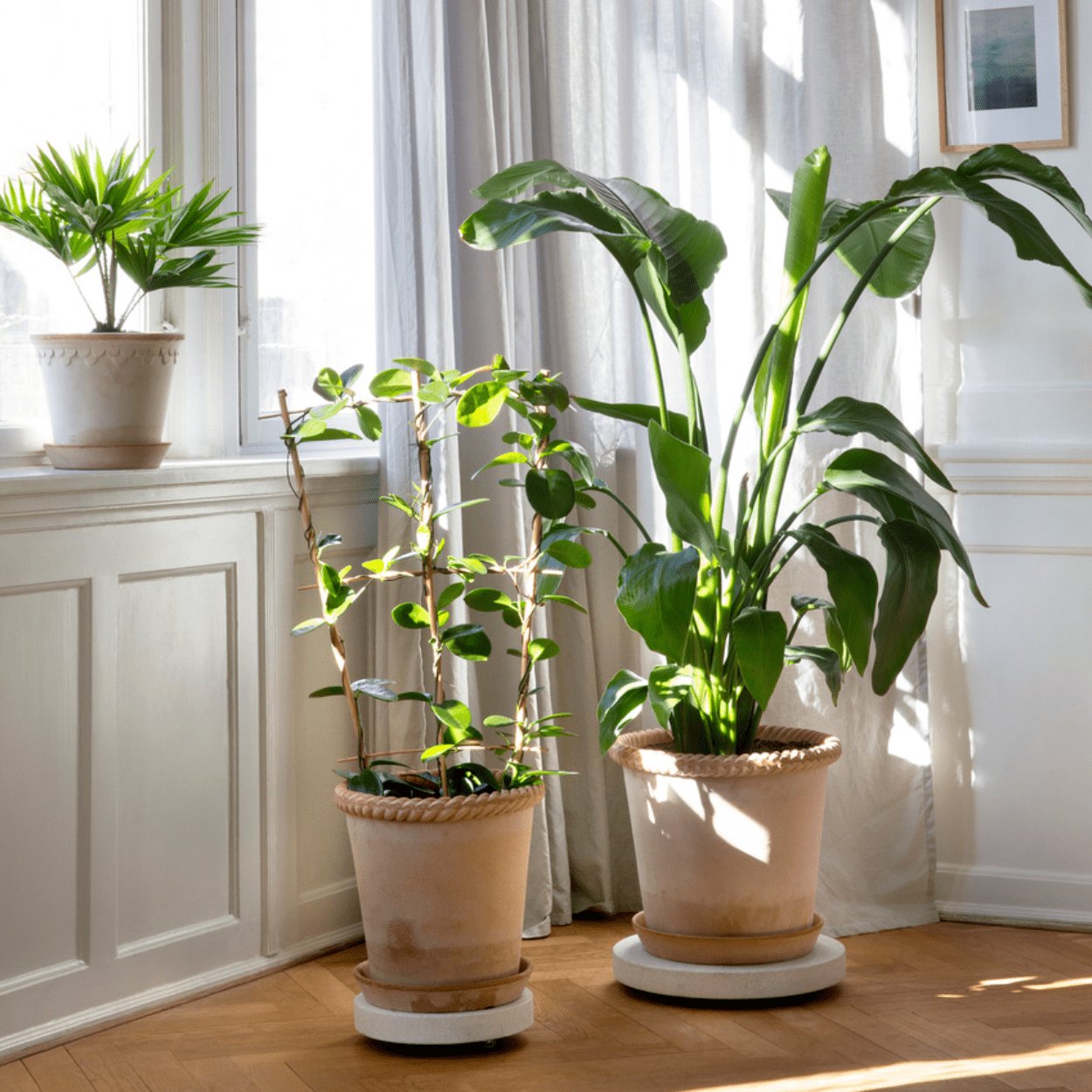 Bergs Potter 16cm Emelia Plant Pot - uBaaHaus