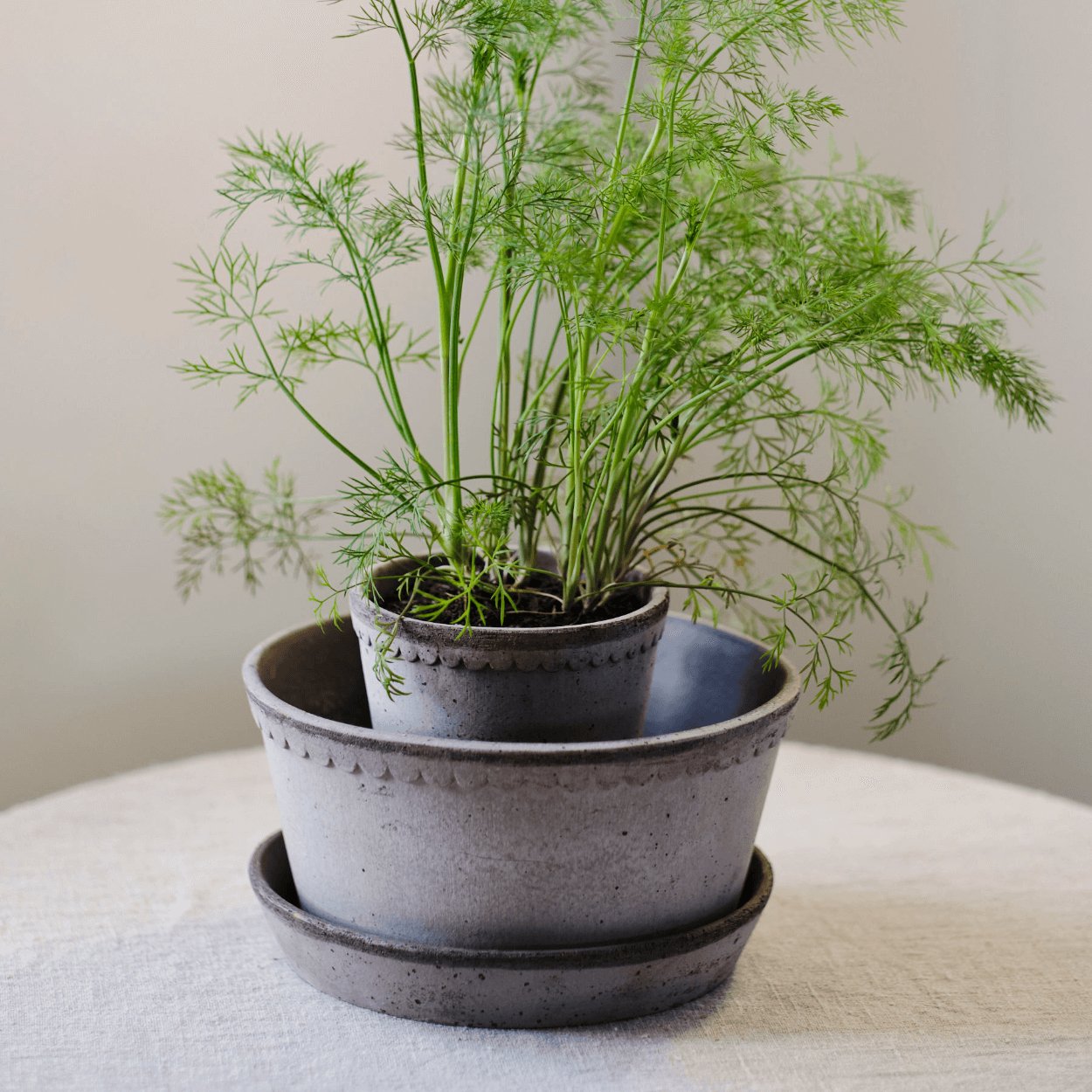 21 cm plant pots ø21cm Helena Wide Clay Plant Pot