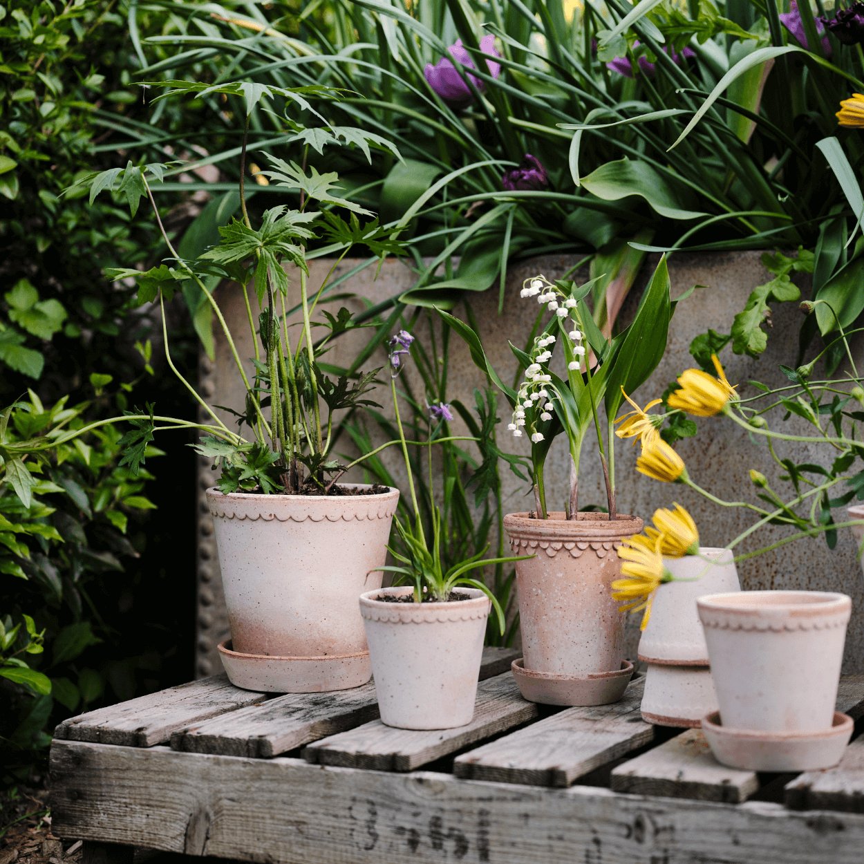 Bergs Potter Copenhagen Tall Plant Pot, Ø14 cm