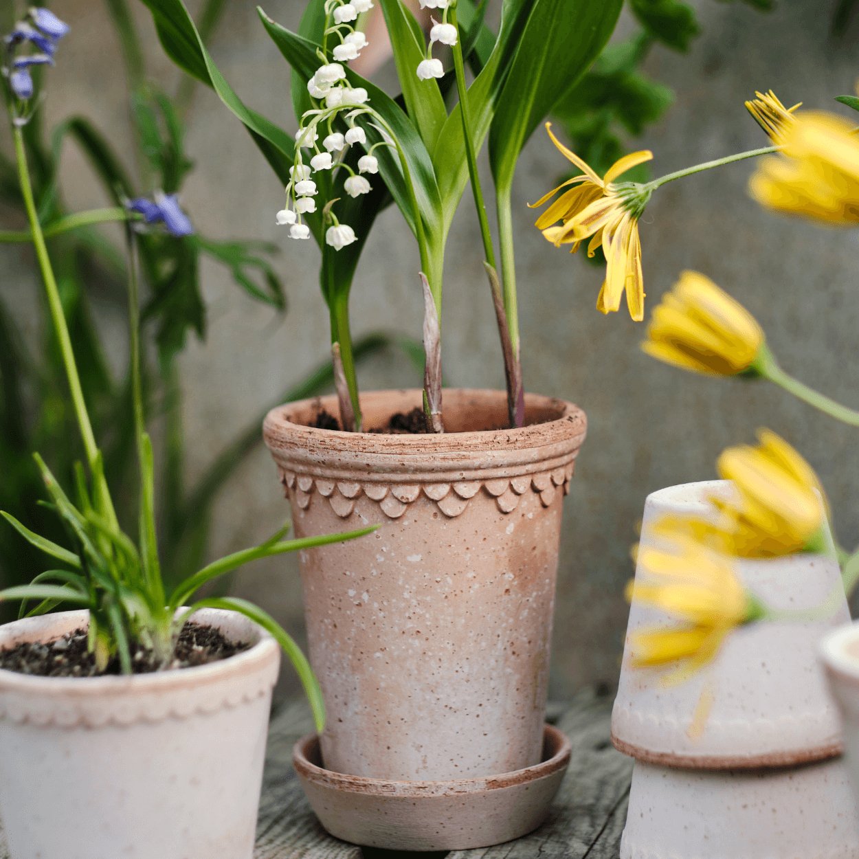 Bergs Potter Copenhagen Tall Plant Pot, Ø14 cm