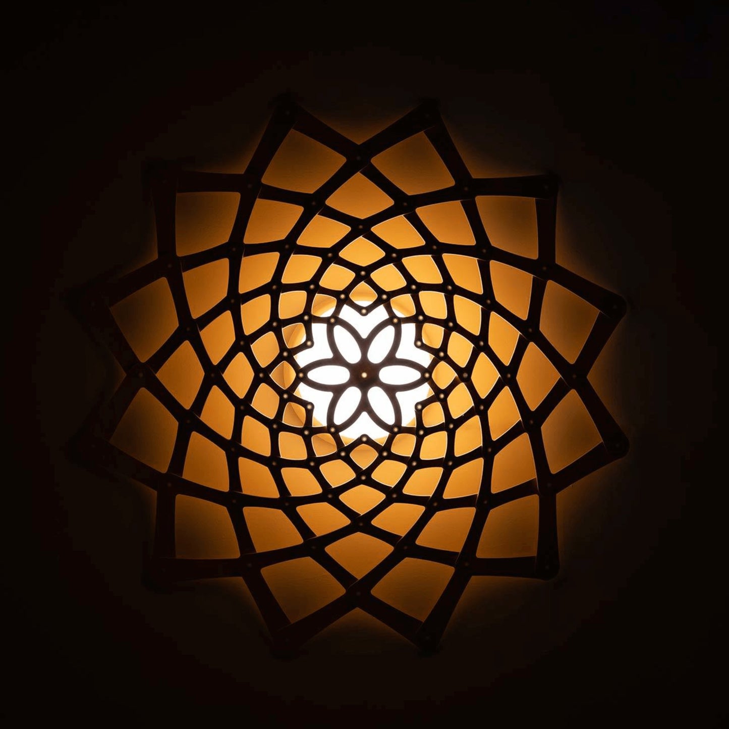 David Trubridge Sunflower Wall Light