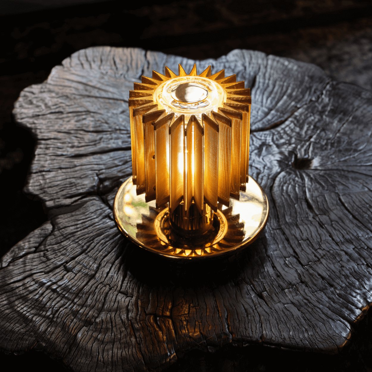 DCW éditions In The Sun Table Light