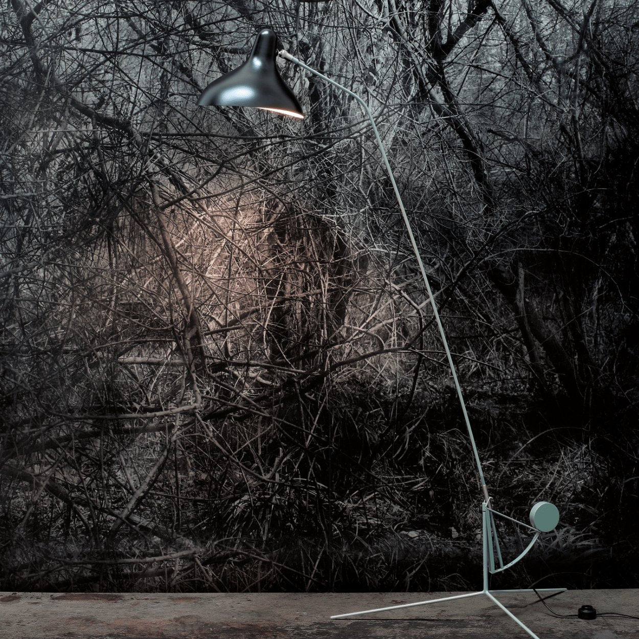 DCW éditions Mantis BS1 Floor Light