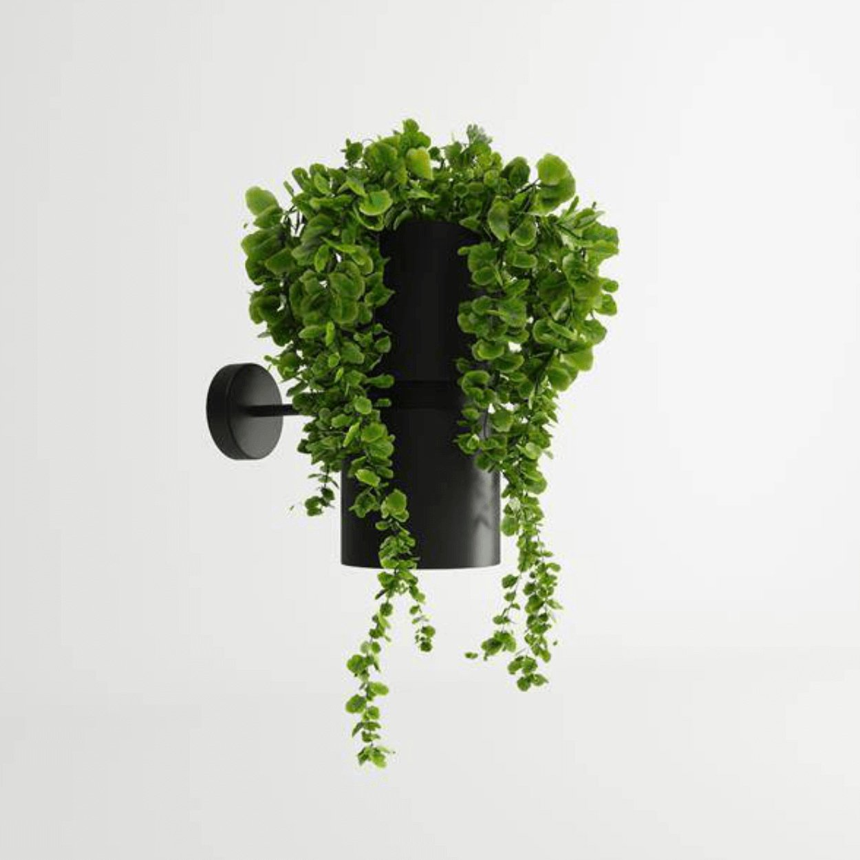 Sollux Kukkia Wall Light