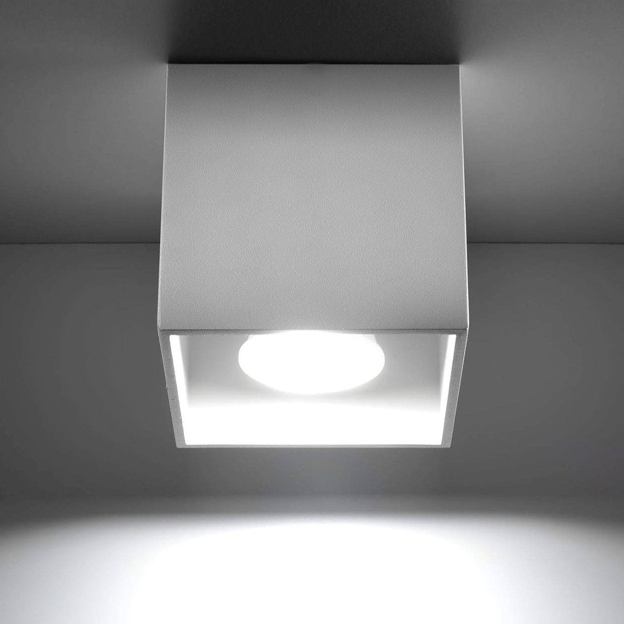 Sollux Quad 1 Surface Downlight