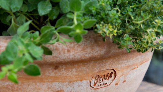 bergs potter outdoor large plant pot 
