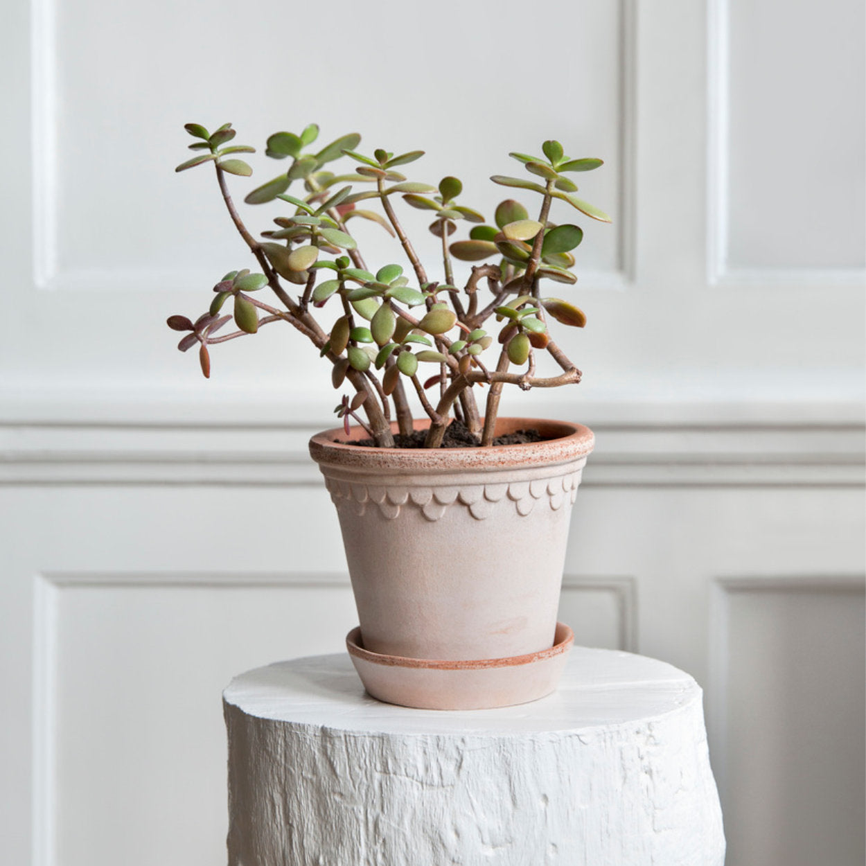 Bergs Potter Copenhagen Plant Pot, Ø16 cm