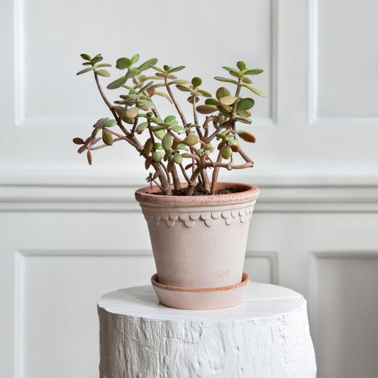 Bergs Potter Copenhagen Plant Pot, Ø16 cm