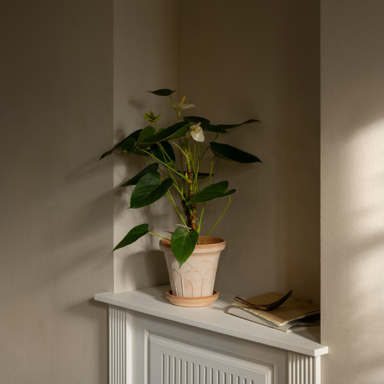 Bergs Potter Fleur Plant Pot