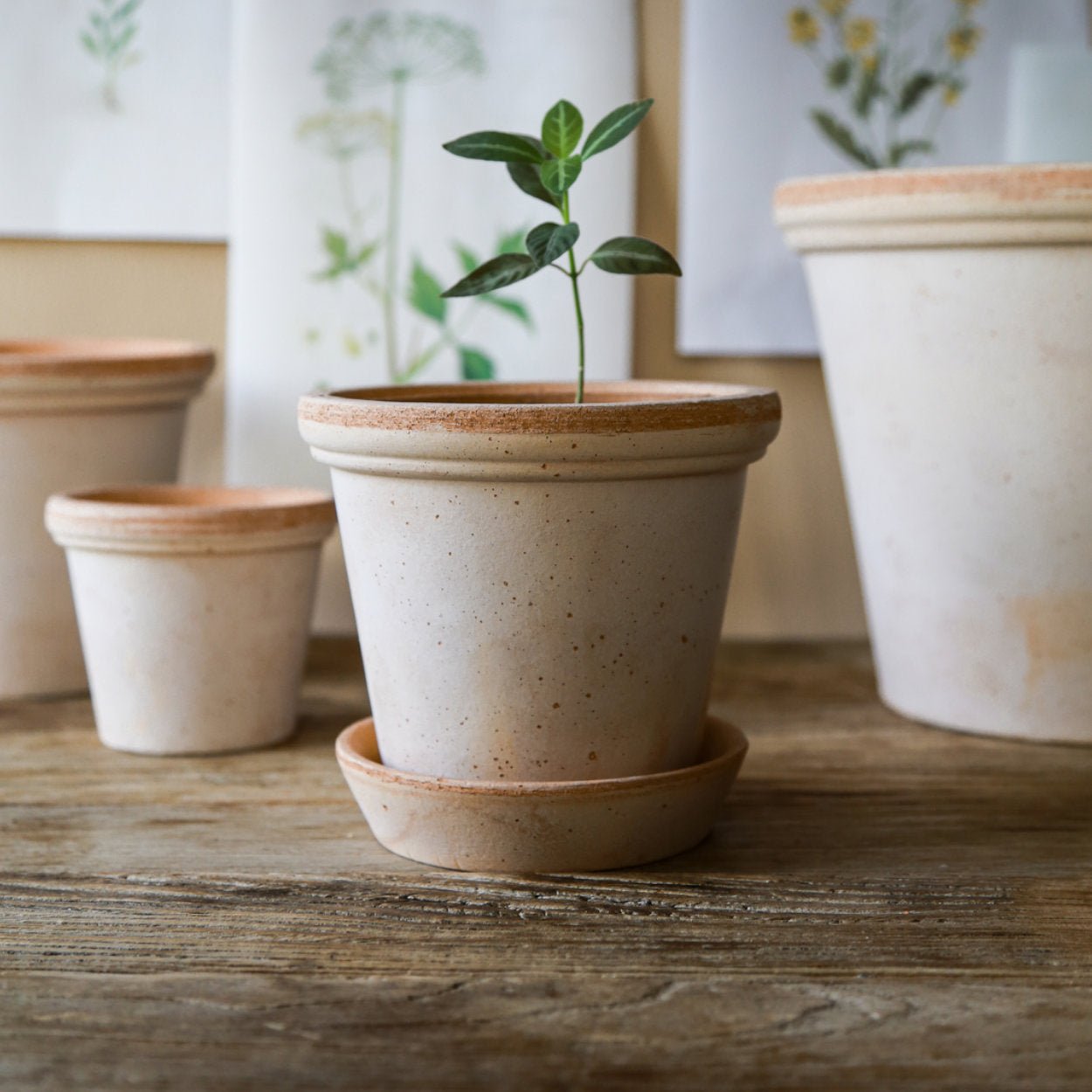 Bergs Potter Flora Plant Pot, Ø14 cm - uBaaHaus