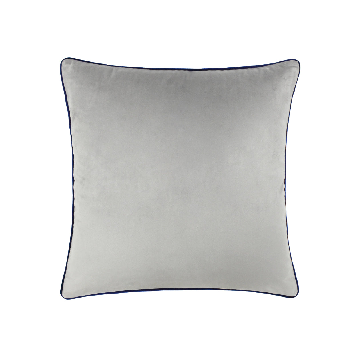 Paoletti - Silver Velvet Cushion