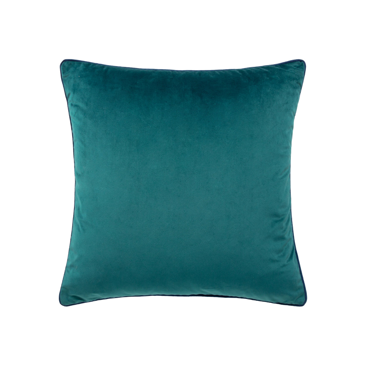 Paoletti - Teal Velvet Cushion