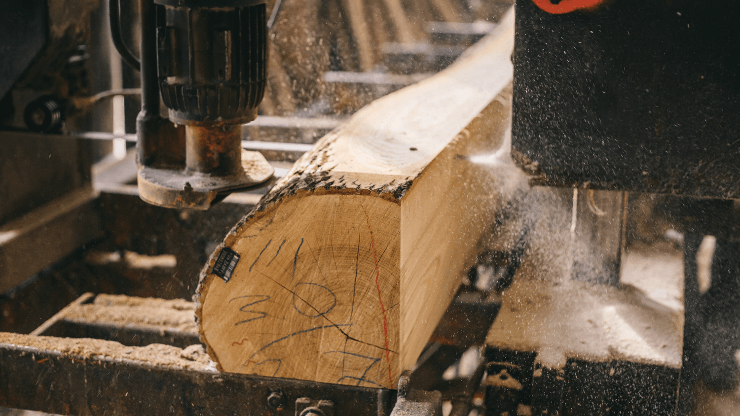 lumber being cut at a sawmill