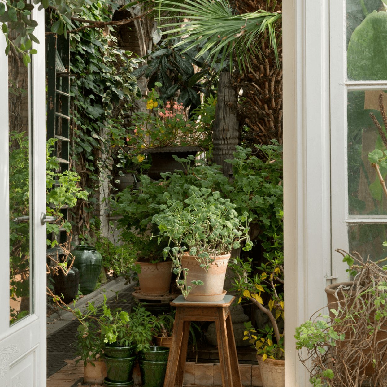 conservatory filled with bergs potter plant pots and heavily covered with flowers and shrubs