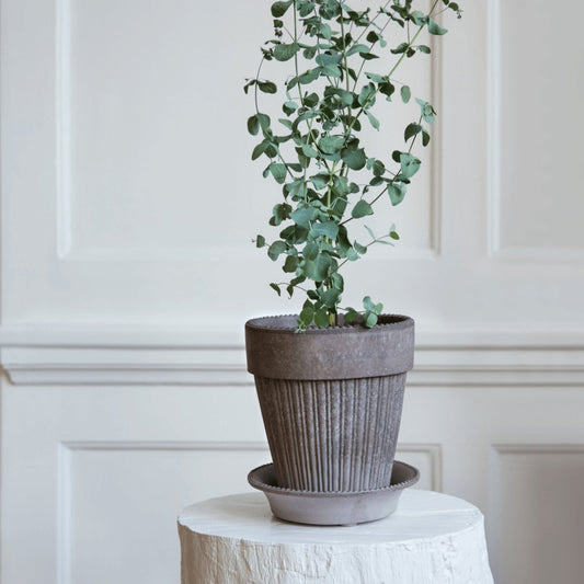grey simona plant pot on white linen table cloth
