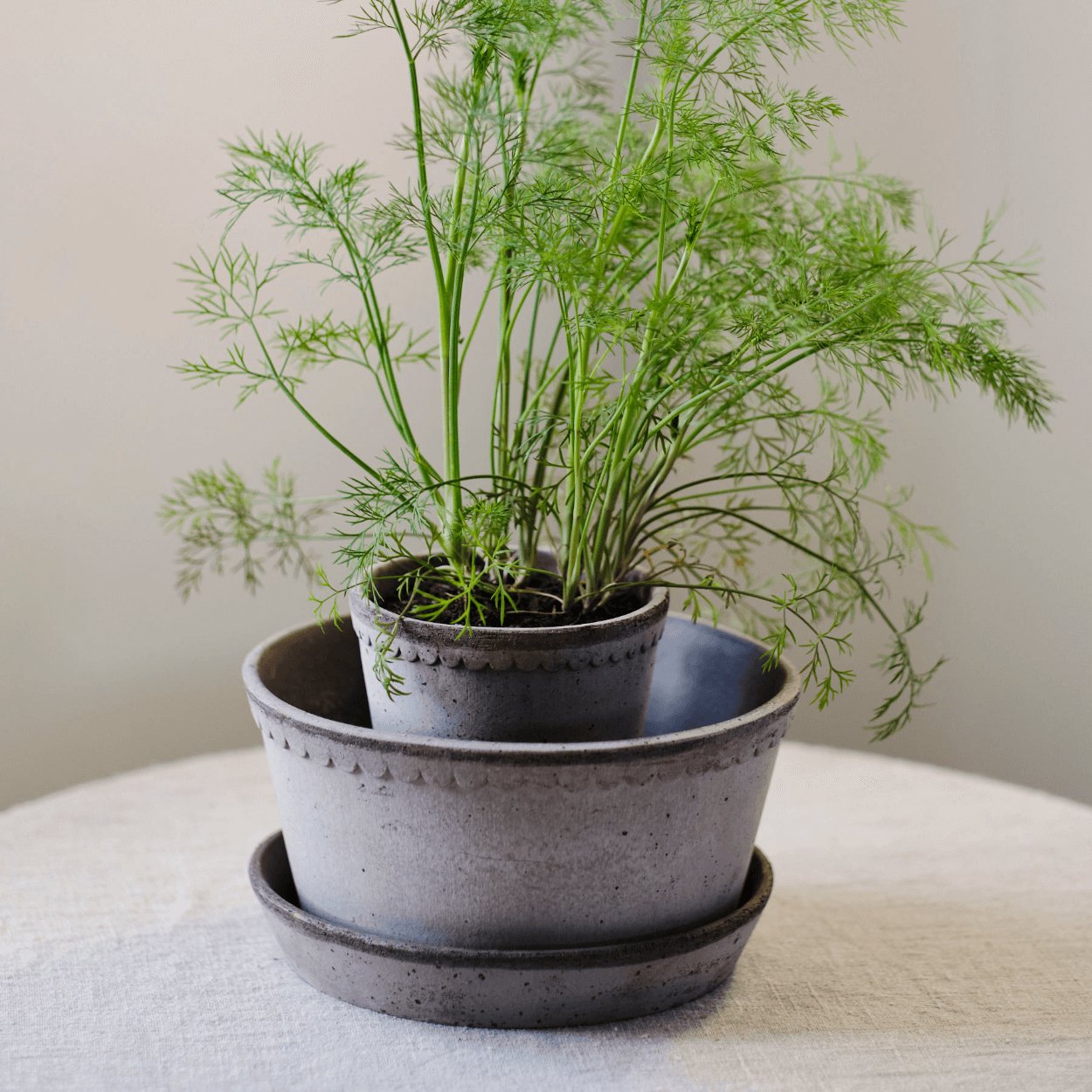 grey helena plant pot on white linen table cloth