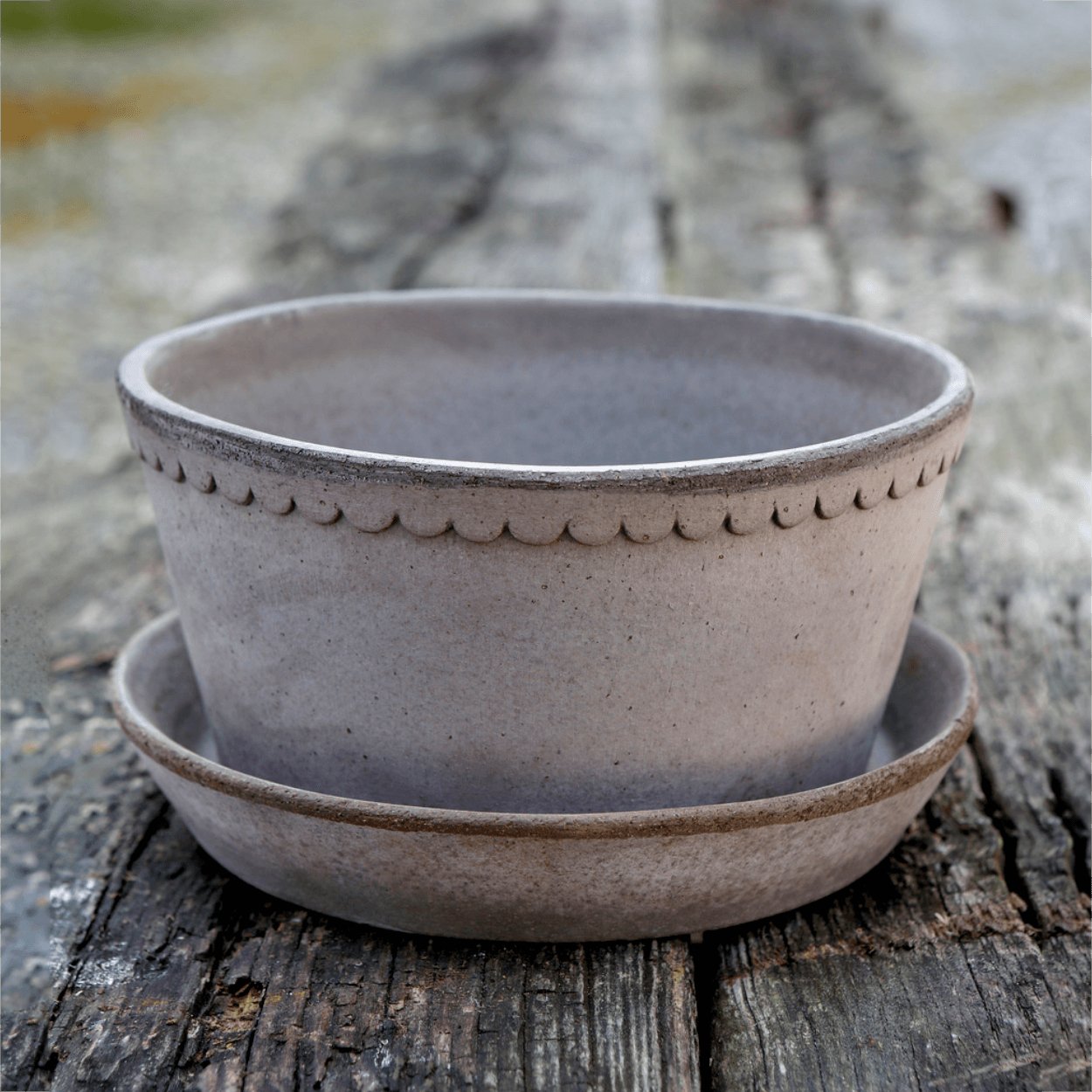 grey helena plant pot on rustic wood surface