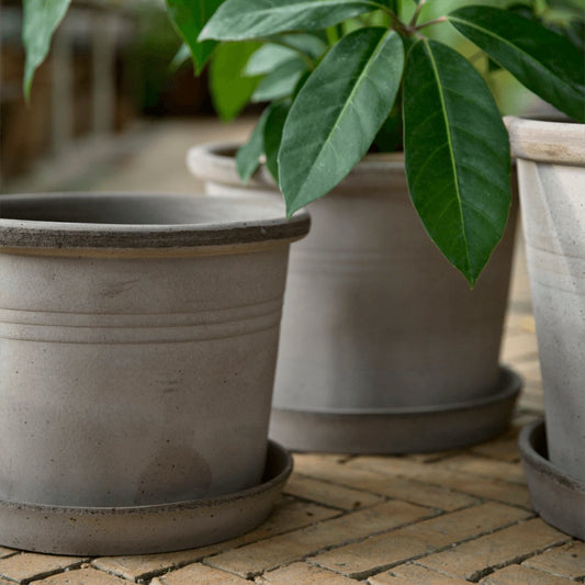 3 galestro grey plant pots on herringbone floor