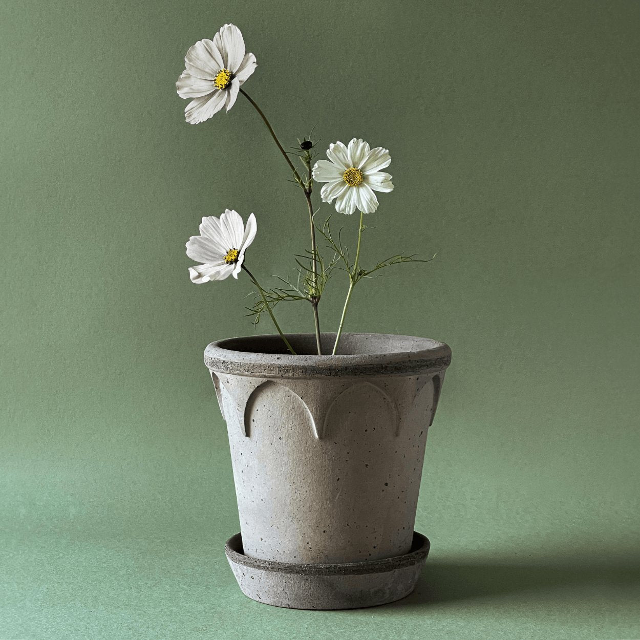 berg potters elizabeth grey plant pot with white flowers